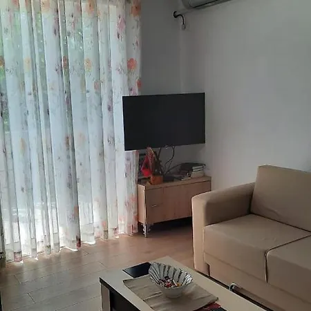 Apartamento City Center Vjosa River